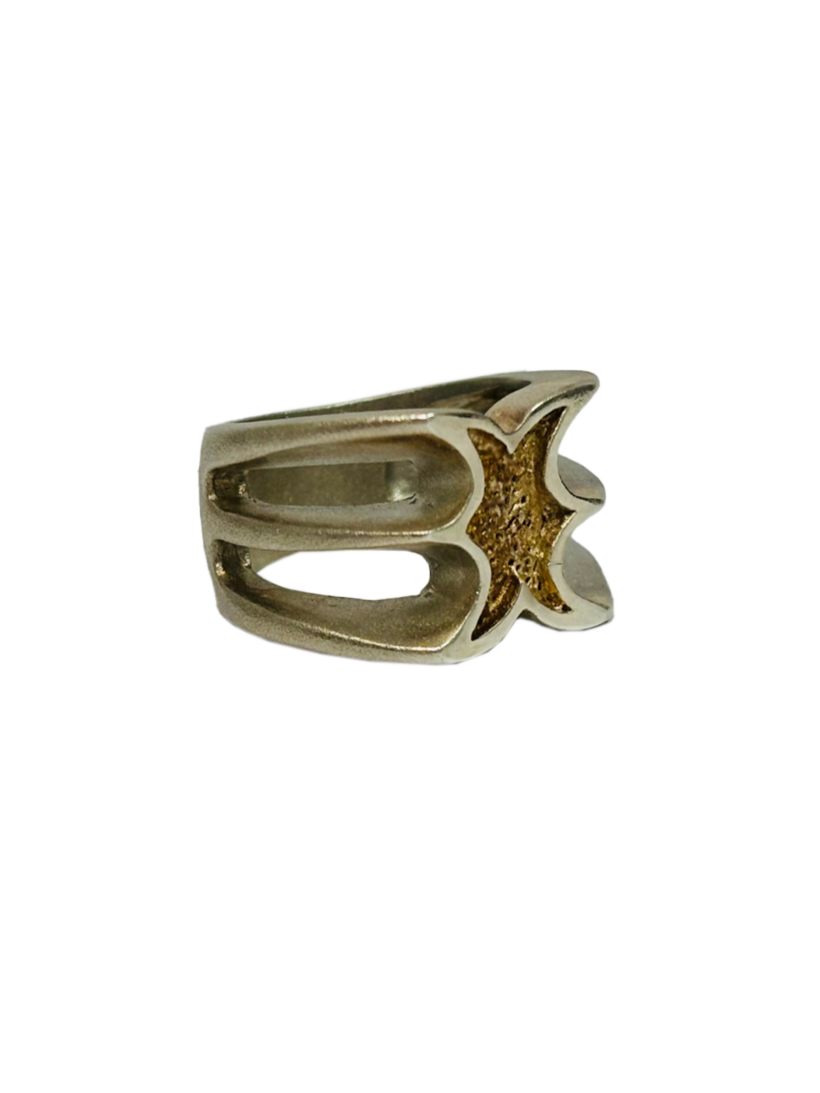 anillo roma_2_1920_2560